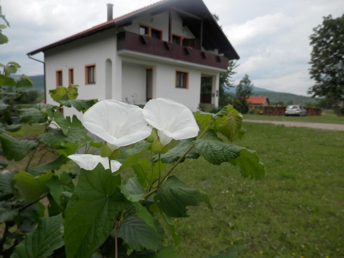 Guesthouse Matija Irinovac المظهر الخارجي الصورة