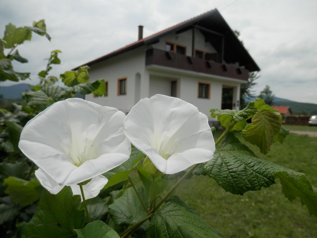 Guesthouse Matija Irinovac المظهر الخارجي الصورة